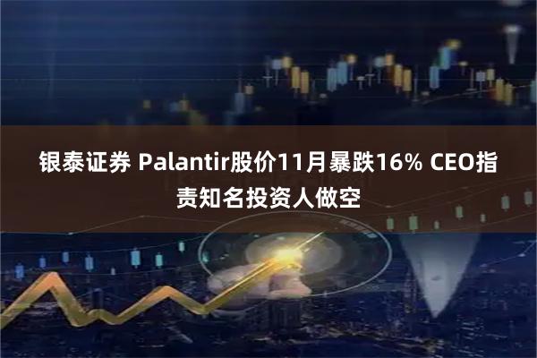银泰证券 Palantir股价11月暴跌16% CEO指责知名投资人做空