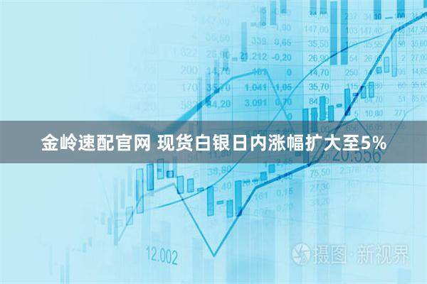 金岭速配官网 现货白银日内涨幅扩大至5%