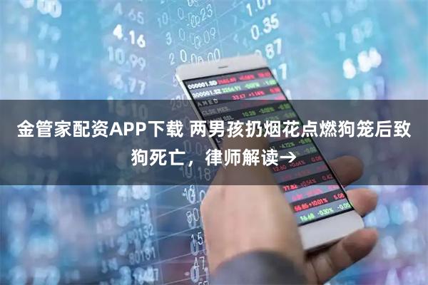 金管家配资APP下载 两男孩扔烟花点燃狗笼后致狗死亡，律师解读→