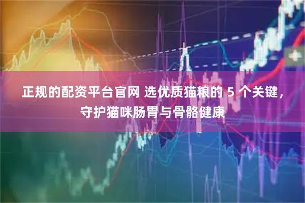 正规的配资平台官网 选优质猫粮的 5 个关键，守护猫咪肠胃与骨骼健康
