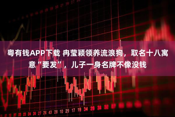 粤有钱APP下载 冉莹颖领养流浪狗，取名十八寓意“要发”，儿子一身名牌不像没钱
