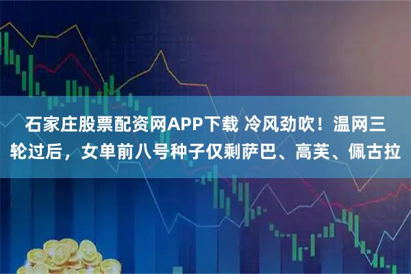 石家庄股票配资网APP下载 冷风劲吹！温网三轮过后，女单前八号种子仅剩萨巴、高芙、佩古拉